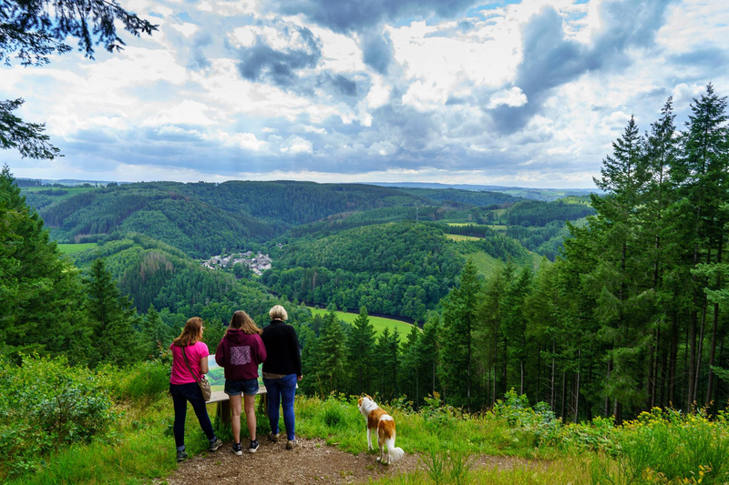 Mooiste uitzichten in de Ardennen: ontdek panoramapunten voor jouw volgende avontuur